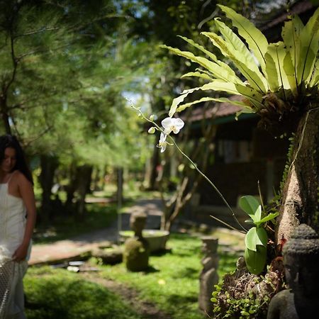 Taman Nauli Boutique Rooms Canggu Zewnętrze zdjęcie