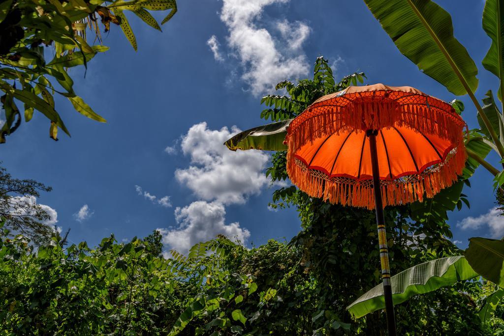 Taman Nauli Boutique Rooms Canggu Zewnętrze zdjęcie