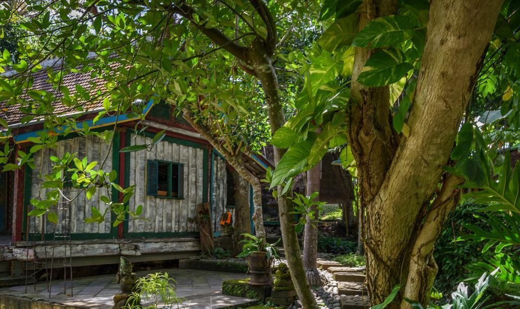 Taman Nauli Boutique Rooms Canggu Zewnętrze zdjęcie